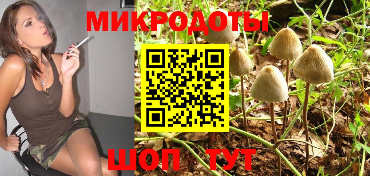 Галлюциногенные грибы Cubensis  купить наркотик  Тимашёвск  Вход с VPN 